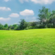 Artificial Turf Perth